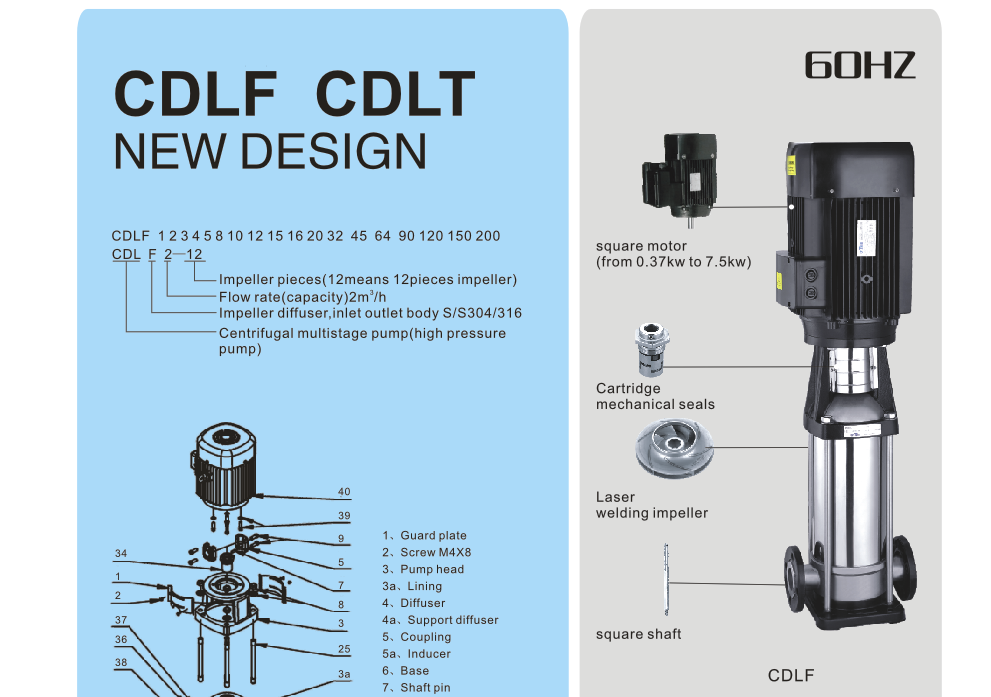 CDLF/CDLT