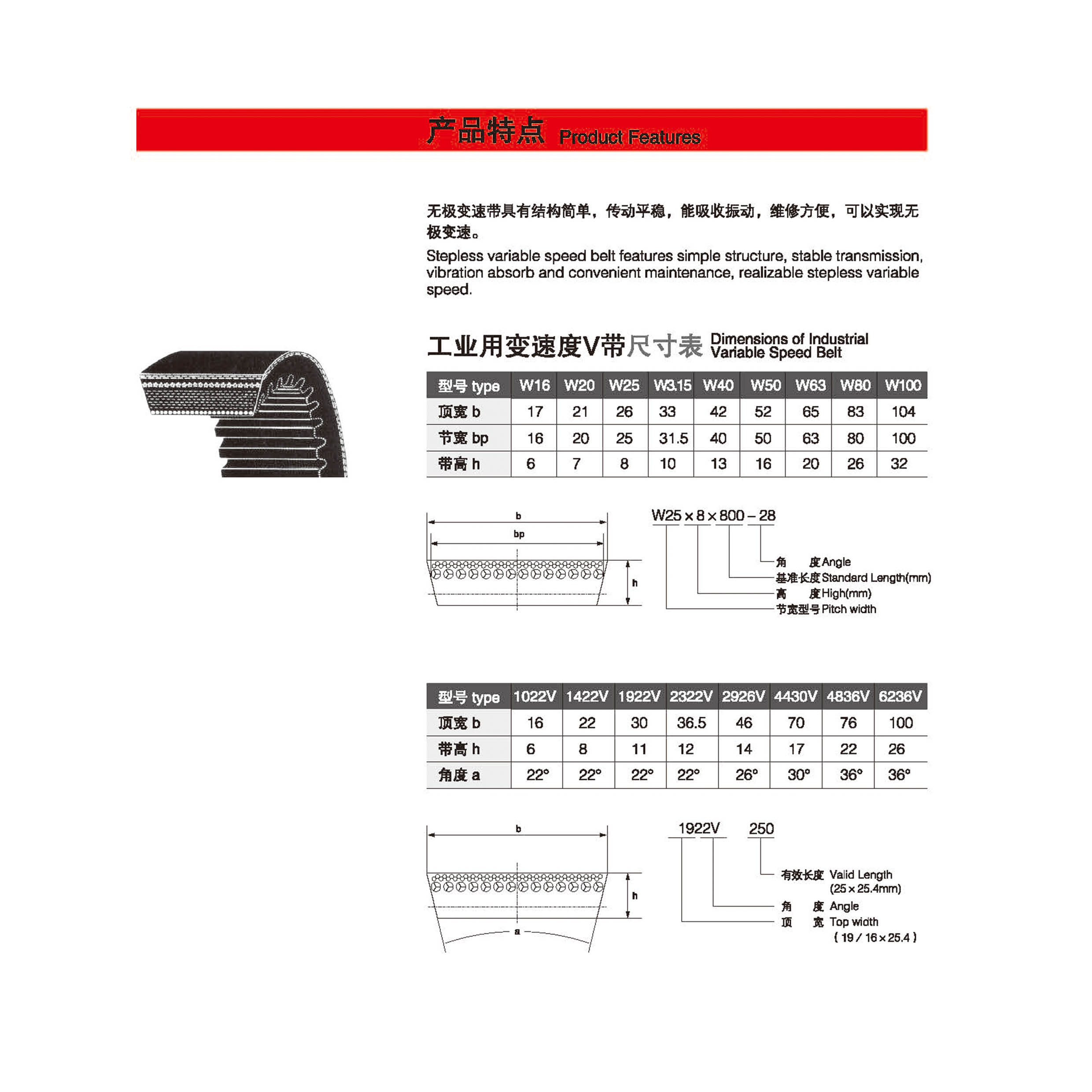 Variable Speed Belts