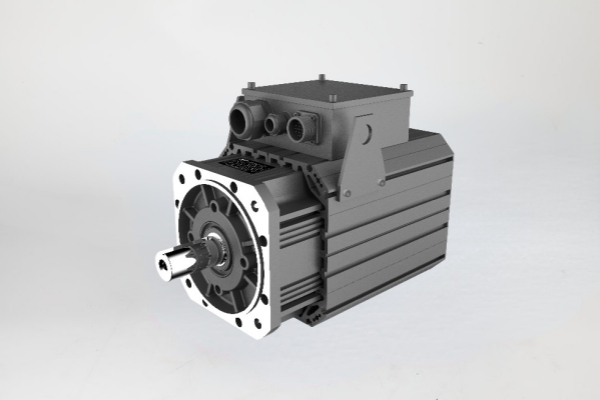 What are the reasons for the high efficiency of permanent magnet motors?cid=5