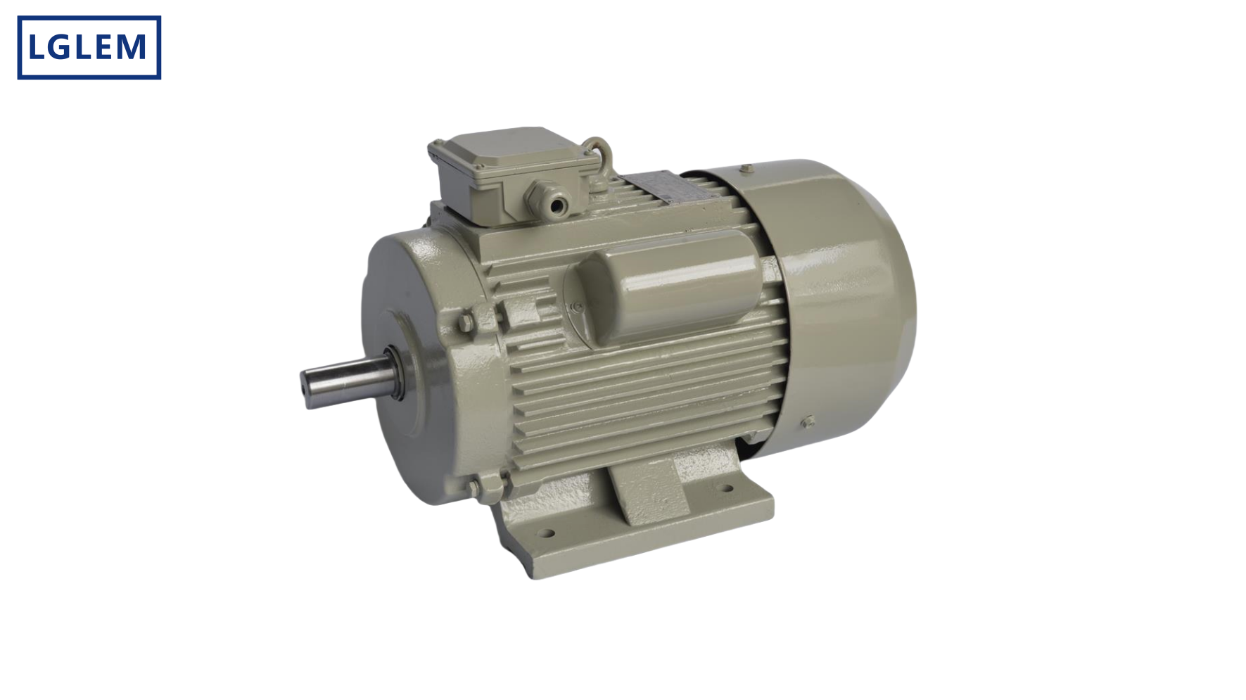 The Prospects for Electric Motors Made in China