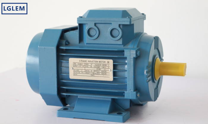 What are the differences between high voltage motors and low voltage motors?cid=5