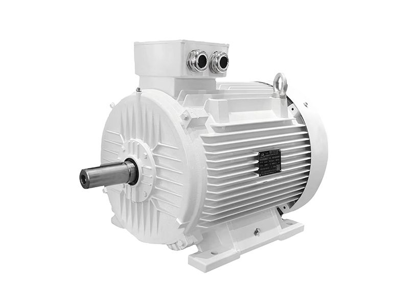 IE5 3 Phase Cast Iron Motor