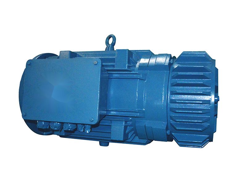 YZ-H Series Marine Three-Phase Induction Motor for Hoisting