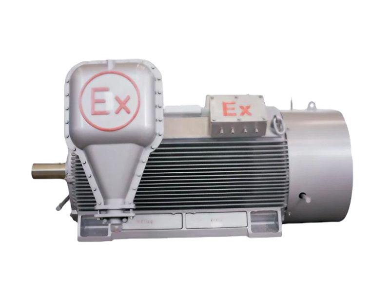 YB2 High Voltage Explosion-Proof Three-Phase Asynchronous Motor