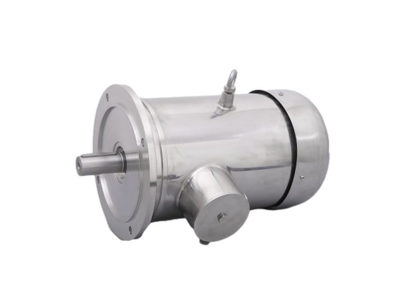 IEC Stainless Steel Motor