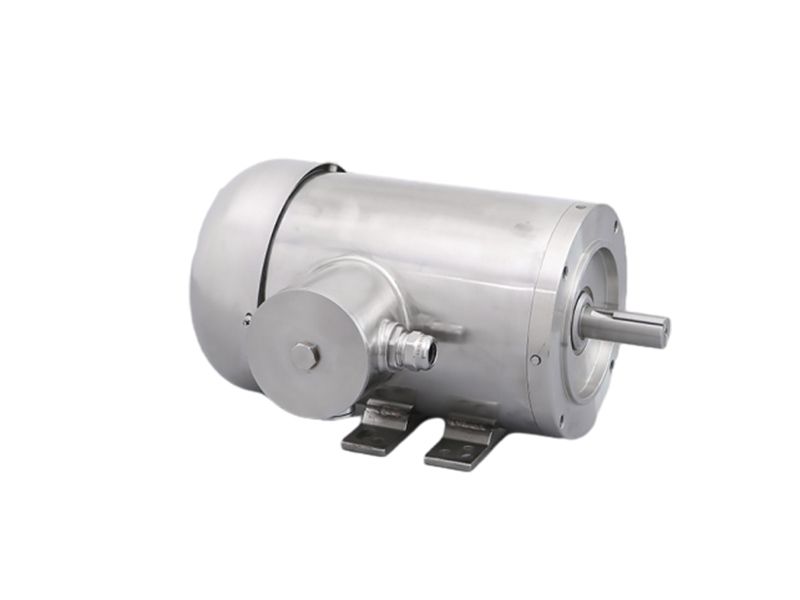 NEMA Stainless Steel Motor