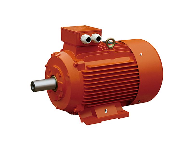 GOST Standard Three-Phase Asynchronous Motor