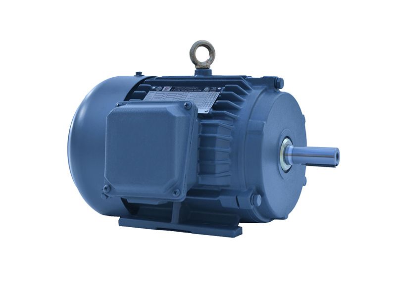 NEMA Premium Efficient Cast Iron Motors