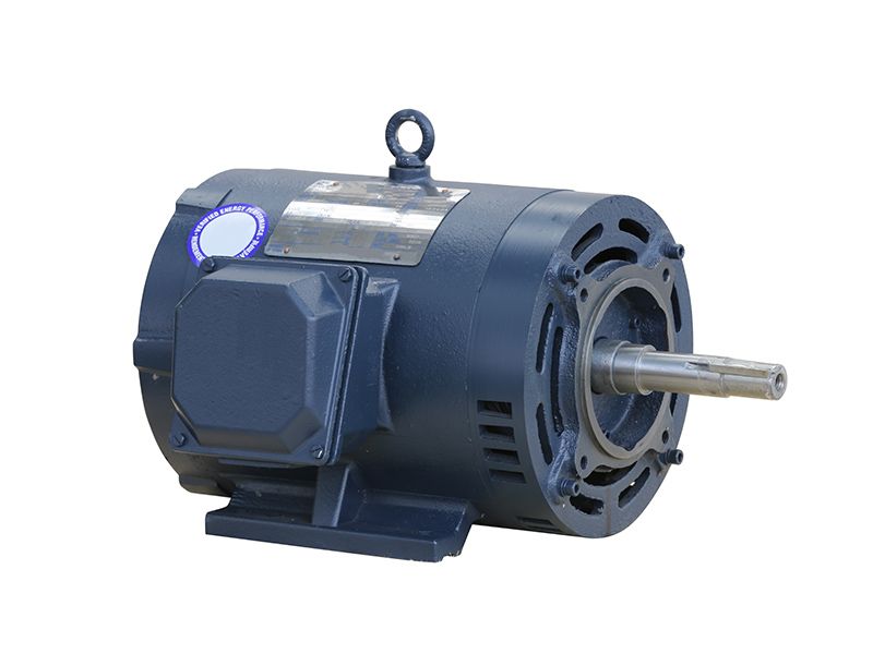 NEMA Three Phase Motors – ODP