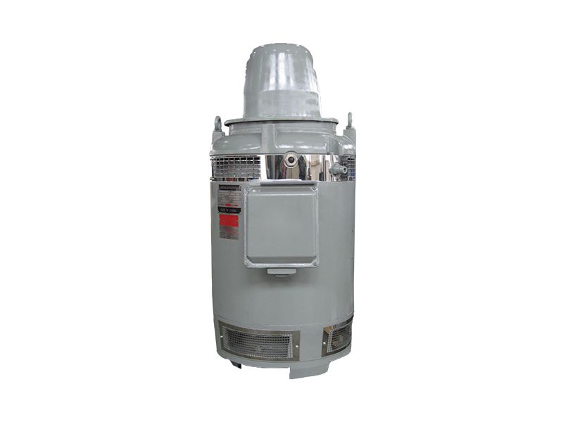 VHS(IP23) Series Vertical Hollow-Shaft Motors