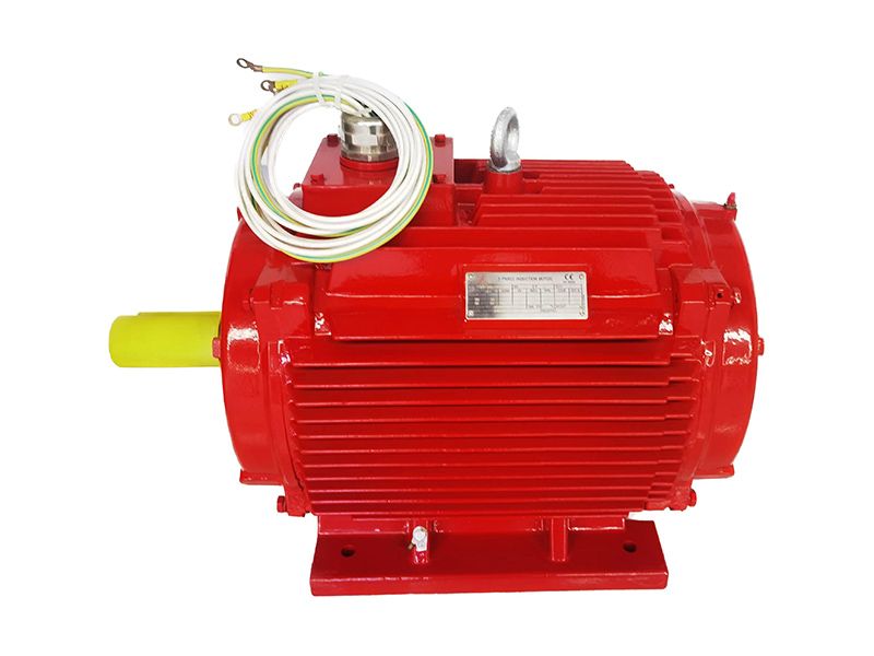 YE2G Series High Temperature Three-Phase Asynchronous Motor