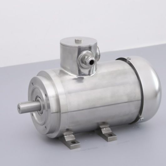 Advantages of Germana Stainless Steel Motors